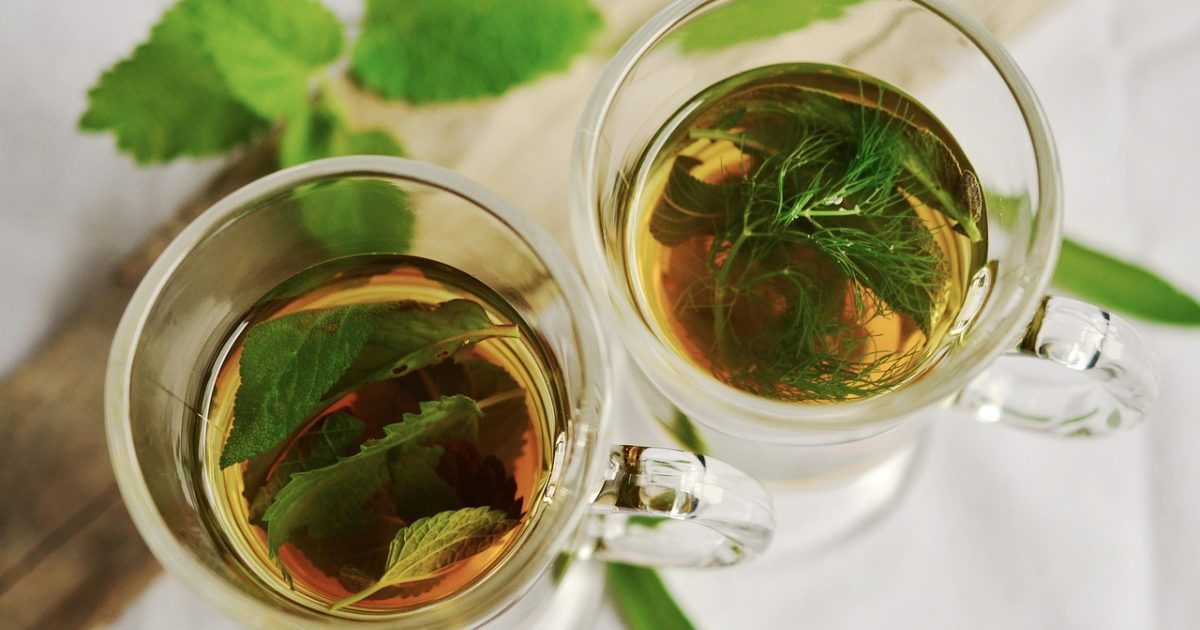 毒蘑菇 深夜书桌上摊开的笔记本与一杯凉茶，暖黄台灯光照着密密麻麻的整理笔记，编辑正在核对资料